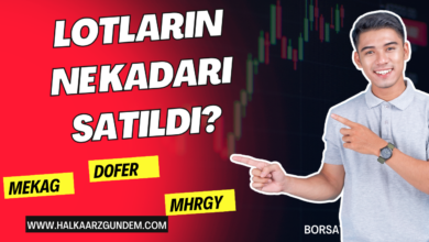 DOFER MEKAG TABGD VRGYO 3 Kasım Lotların Ne Kadarı Satıldı?